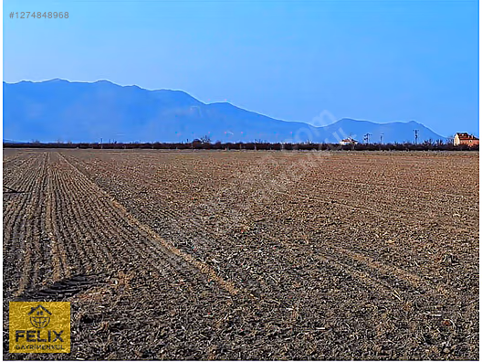 Karaman HacıCelal Kalaycık Mevki Yatırımlık Tarla #1274848968