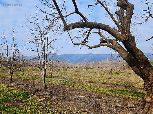 KRİSTAL İZ GÜRSU KAZIKLIDA 4848 M2 SATILIK ARSA #1286849183