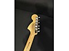 Fender Elektro Gitar
