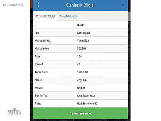 BURSA ORHANGAZİ YENİSÖLÖZDE SATILIK ZEYTİNLİK