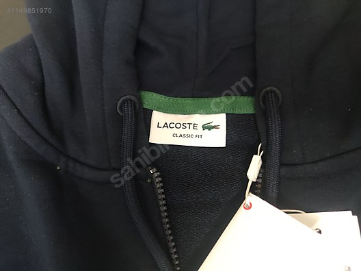 Hoodie lacoste big clearance logo