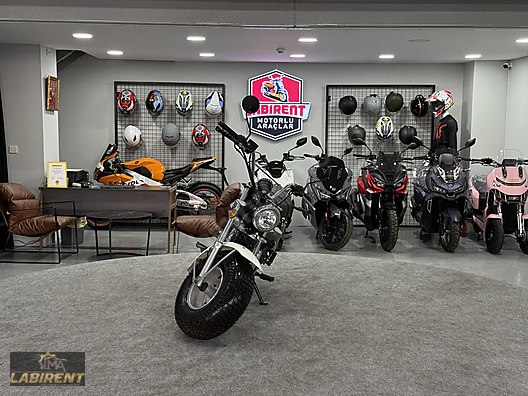 LABİRENT SKYTEAM T-REX 125 #1251852794