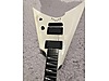 ESP Elektro Gitar