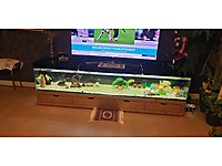 televizyon sehpası akvaryum #1283853599
