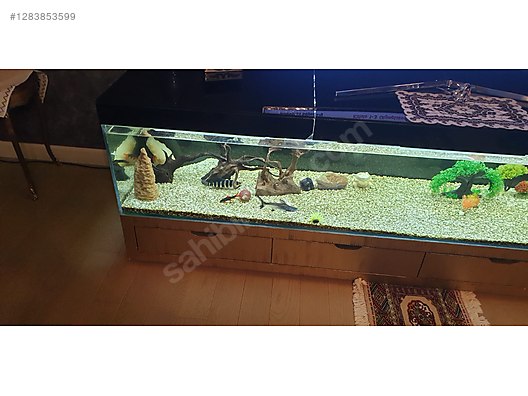 Pets & Livestock / Accessories / Fish / Aquariums