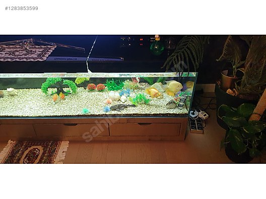 Pets & Livestock / Accessories / Fish / Aquariums