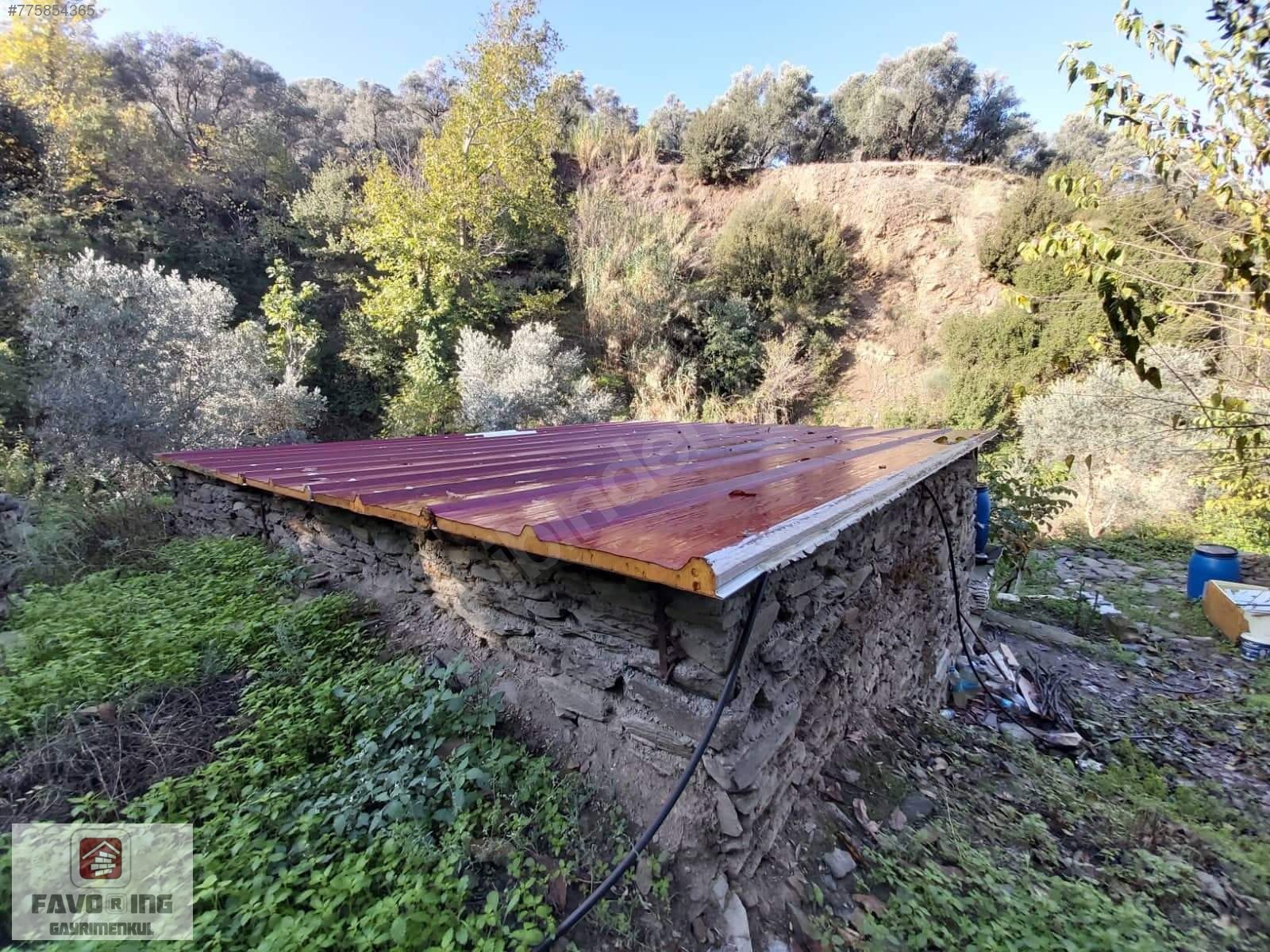 TİRE DERE KAHVE YAKINI YATIRIMLIK EMSALSİZ 3177 M2 SATILIK BAHÇE