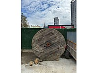 220 cm KABLO MAKARASI