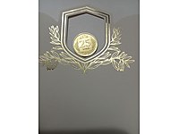 Altın renkli 25 kuruş