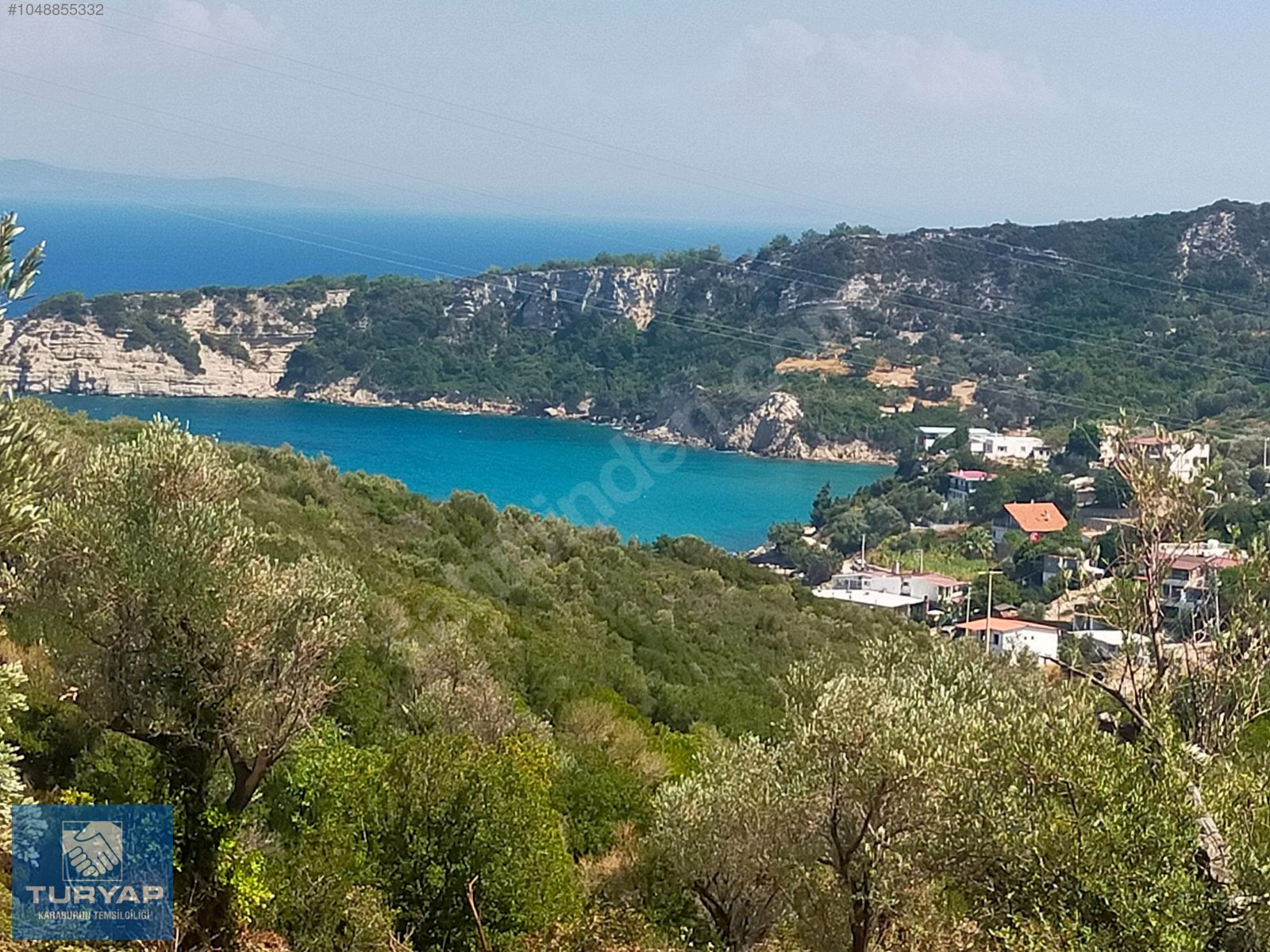 Turyap Dan E Endere Koyunda Den Z Manzarali Zeyt N A A Li Tarla