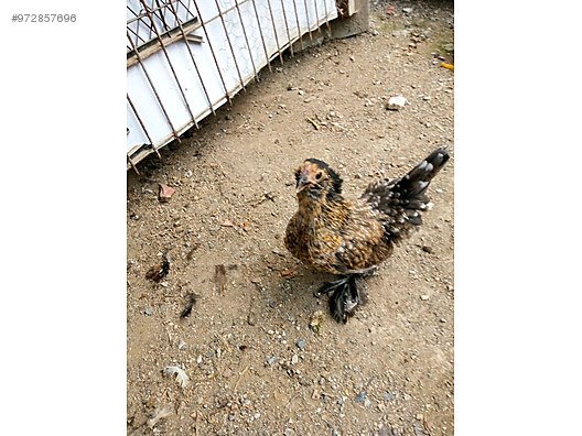 Aqktu3smchpjpm Aqktu3smchpjpm