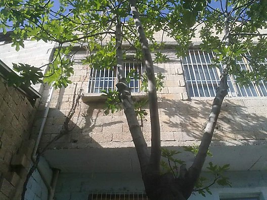 duzgun emlak sahibinden