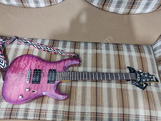Schecter Elektro Gitar
