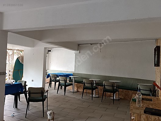 İkinci El ve Sıfır Alışveriş / Antika / Mobilya / Yemek Odası / Antika Masa & Sandalye