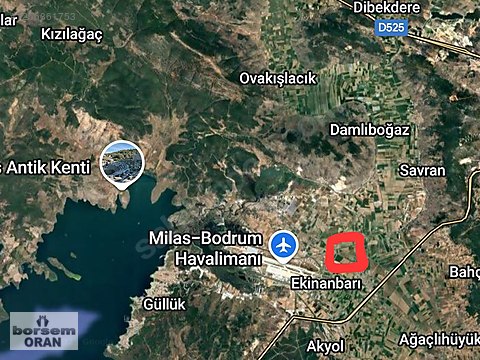 MİLAS BODRUM HAVAALANI YAKINI KORU BÜYÜKBEYLİK...