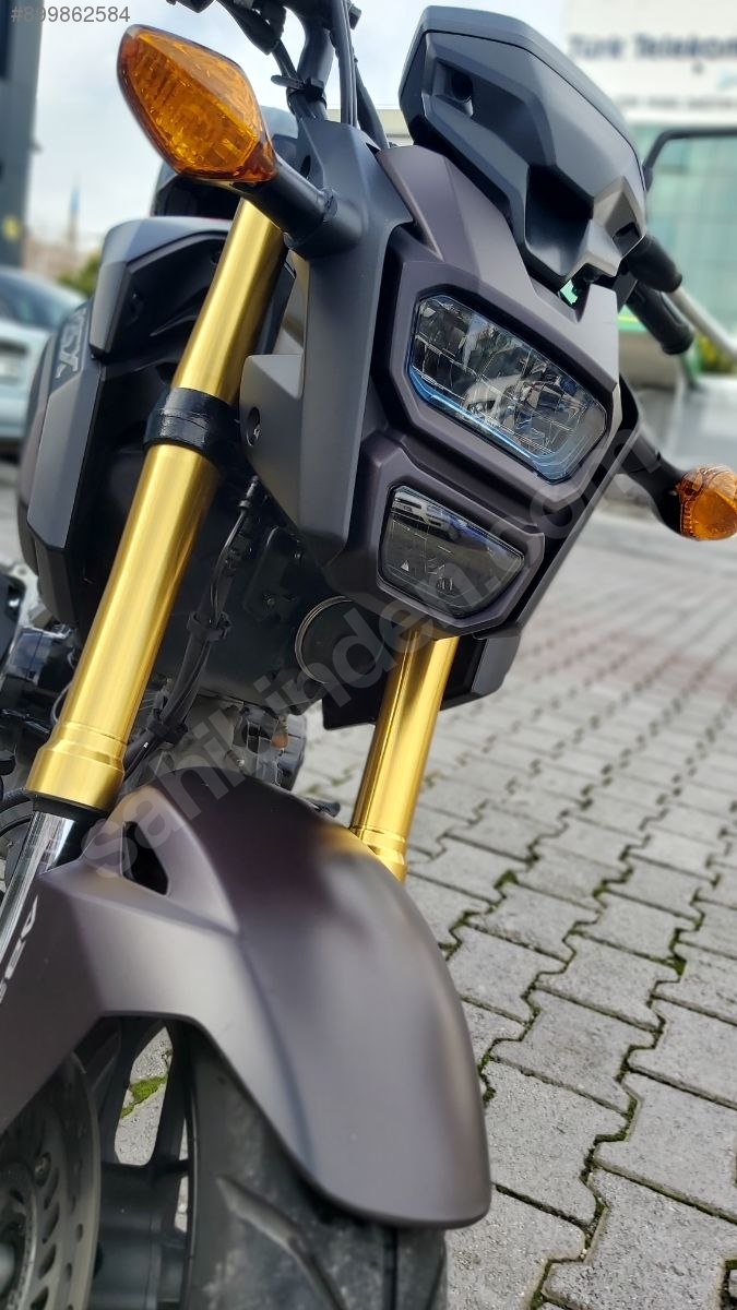 Honda MSX 125 2018 Model Naked / Roadster Motor Motosiklet 