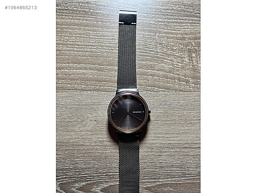 Skagen skw2382 best sale