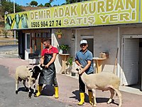 DEMİR ADAK KURBAN GÖRÜNTÜLÜ ARAMA İLE CANLI YAYINDA VEKALETLE KE #1283866076