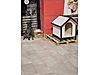 Pets & Livestock / Accessories / Dogs / Sheltering & Dogshed