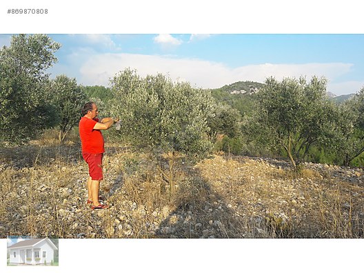 Mugla Algi 29 000 Tl Esinize En Guzel Dogum Gunu Hediyesi 525m2 Satilik Arsa Ilanlari Sahibinden Com Da 869870808