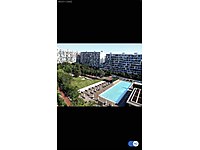 823vuhcfibitqm 823vuhcfibitqm
