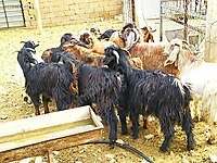 YARIM ASIRLIK TECRÜBE GÜVENİN TEK ADRESİ #1283873417