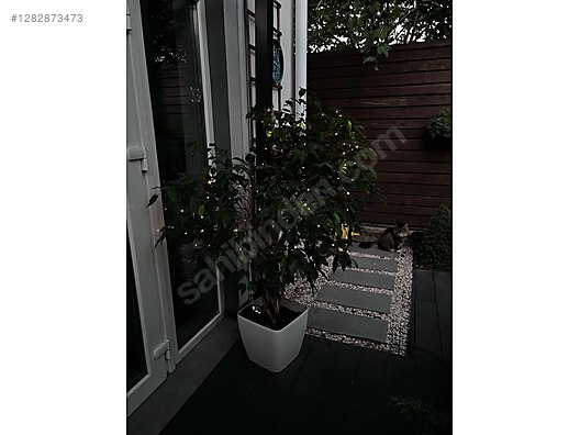 Used & Brand New Items / Garden & Home Improvement / Home Improvement / Lighting / Outdoor & Garden Lighting