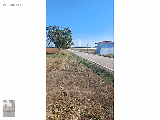 Ulutaş emlak tan Karayaka da yol kenarı tarla #1274874411