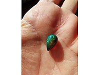 3.6 karat Black Etiyopya opali #1283875663