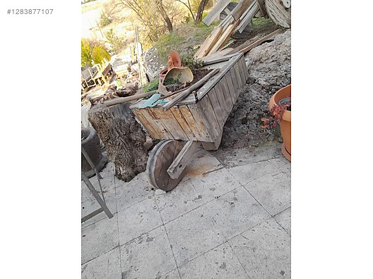 Dış & Bahçe Işıklandırma