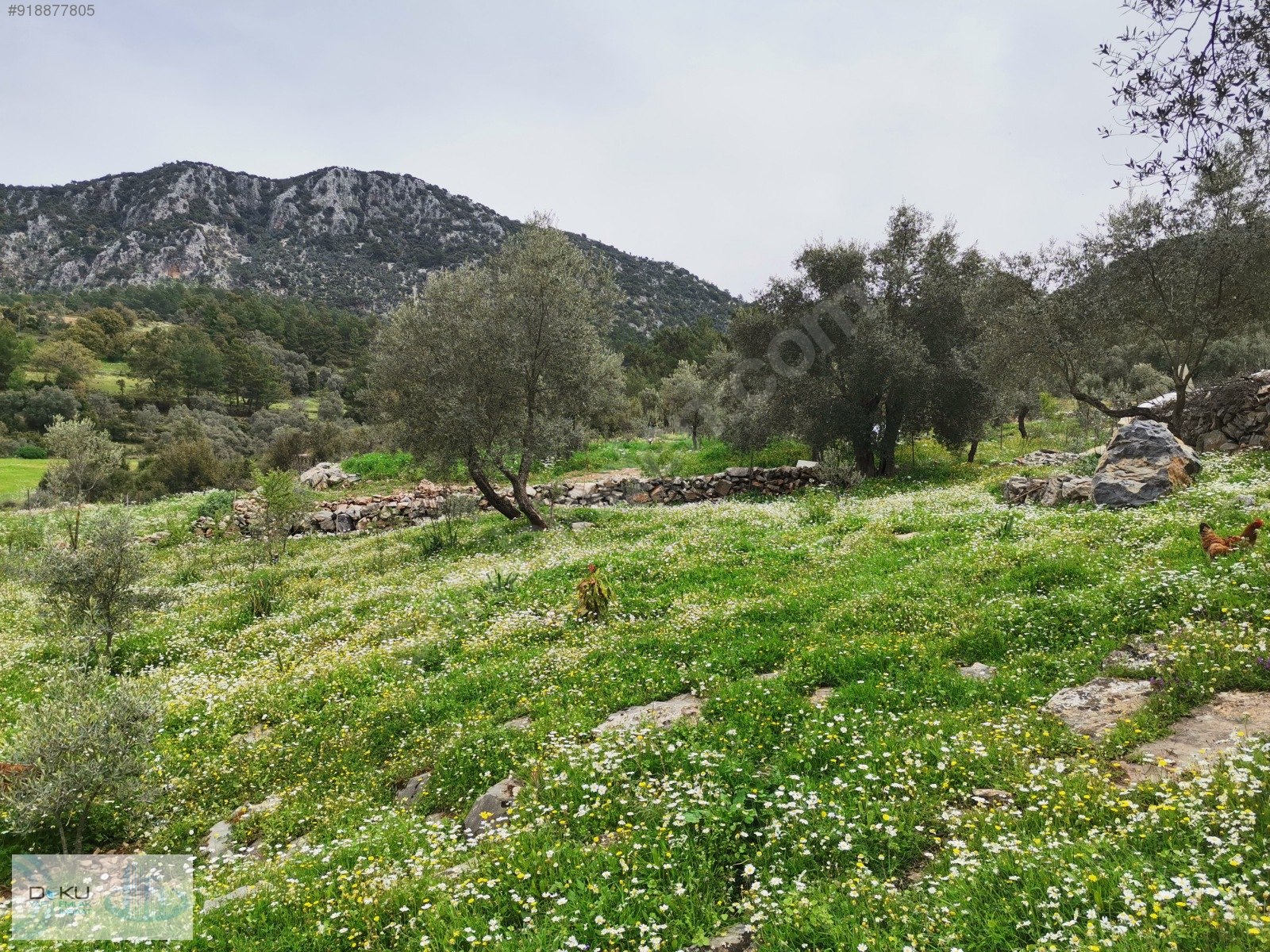 Göcek Taşbaşı�nda 1.380 m2 Arsa İçerisinde SATILIK Köy Evi Satılık