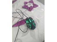 1haftalık mause #1283879675