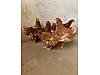 Pets & Livestock / Poultry & Fowl / Chickens