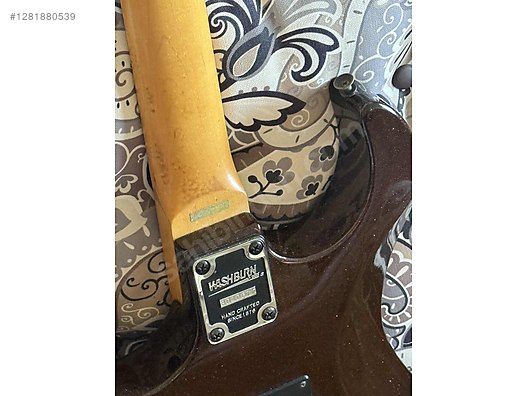 Washburn Elektro Gitar