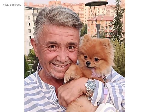 Used & Brand New Items / Cell Phones & Accessories / Cell Phones / Samsung / Galaxy M12