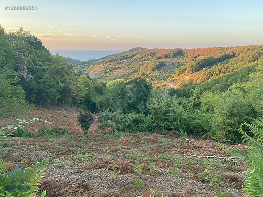 YILDIZ EMLAK'TAN YENİCE KÖYÜNDE SATILIK ARAZİ #1268882651