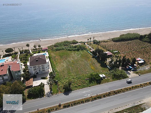 Alanya Demirtaş'da Satılık Denize Sıfır Kendi Plajı olan Arazi #1244883017