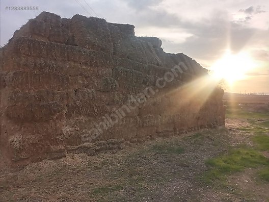 Hayvanlar Alemi / Yem & Mama / Küçükbaş & Büyükbaş / Yem