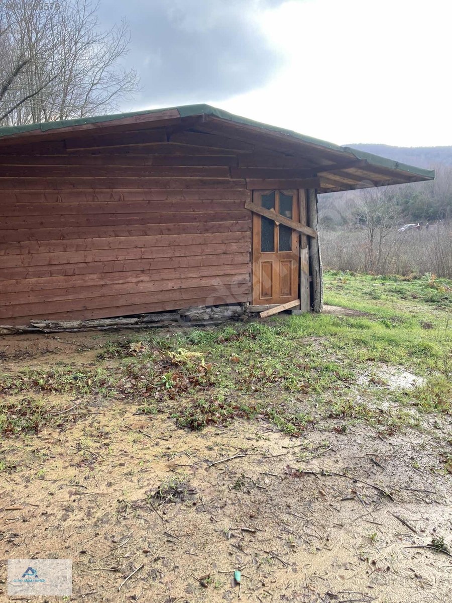 Fındık bahçesi bağ evi yapılır Satılık Arsa İlanları