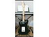 Fender Elektro Gitar