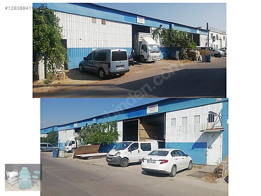 İkinci El ve Sıfır Alışveriş / Kişisel Bakım & Kozmetik / Profesyonel Ekipmanlar / Kuaför Ekipmanları / Toplu Satış