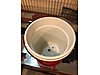 Pets & Livestock / Accessories / Poultry & Fowl / Supplies