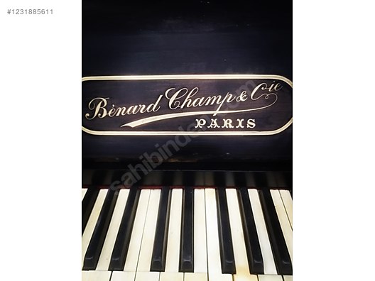 İkinci El ve Sıfır Alışveriş / Müzik / Müzik Aletleri / Tuşlu Çalgılar / Piyano