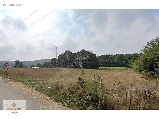 BURSA NİLÜFER UNÇUKURUNDA KÖYÜN DİBİNDE SATILIK TARLA (FIRSAT) #1250887867