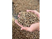 ORJİNAL ÇAM PELETİ PELET