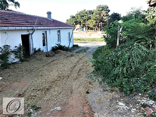 edirne uzunkoprude tarlasiyla birlikte satilik koy evi satilik arsa ilanlari sahibinden com da 956888201