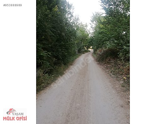 yasam mulk ofisinden gunesli de satilik bag 2 280 m2 tek tapu satilik arsa ilanlari sahibinden com da 953888989