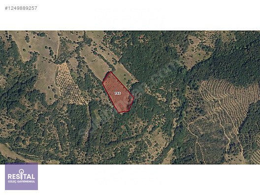 BURSA İZNİK MECİDİYE 7638 m2 SATILIK TARLA