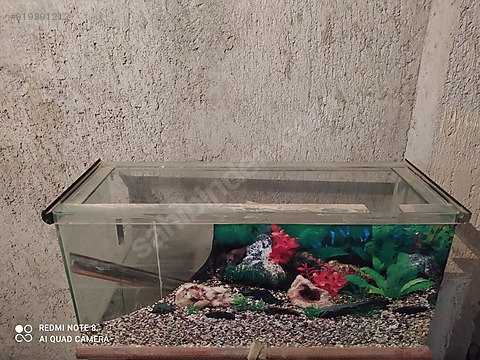 akvaryum ve dis motor sahibinden comda 919891212