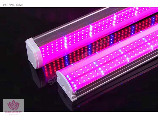 80w Strawberry Grow Light Çilek Yetiştirme Lambası 120 cm